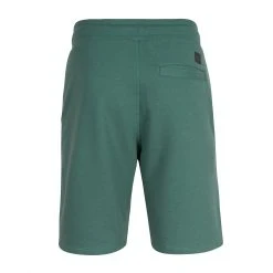 Alternative view of O'Neill Jogger Shorts