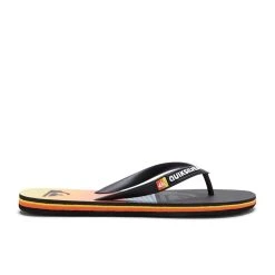 Quiksilver Molokai Panel Flip Flops