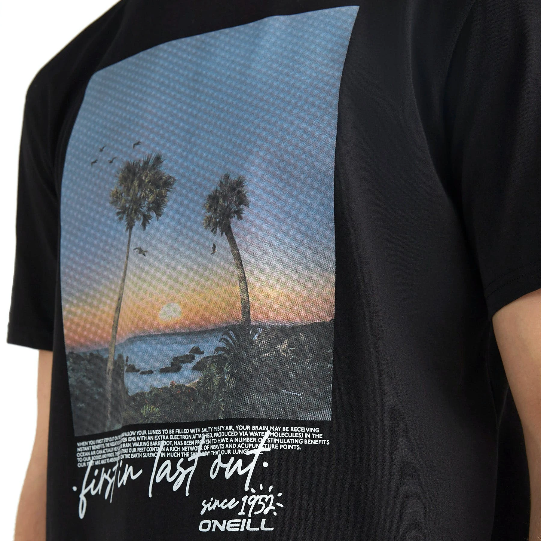 O'Neill Loren Short Sleeve T-Shirt 3 O'Neill Loren Short Sleeve T-Shirt - Image 3