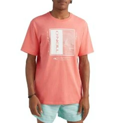 O'Neill Thayer Short Sleeve T-Shirt