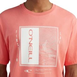 O'Neill Thayer Short Sleeve T-Shirt 5 O'Neill Thayer Short Sleeve T-Shirt -O'Neill Store 1802375