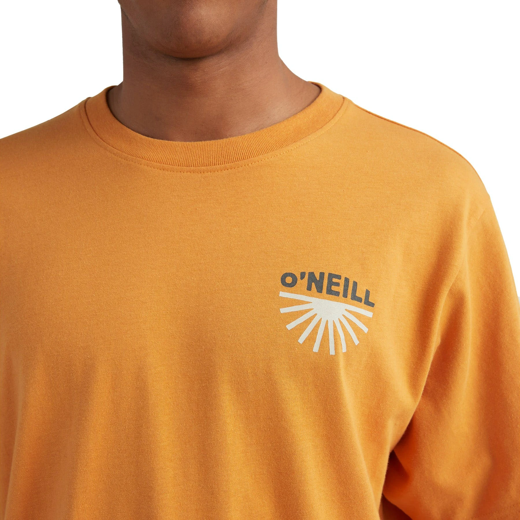 O'Neill Albor Short Sleeve T-Shirt 2 O'Neill Albor Short Sleeve T-Shirt - Image 2