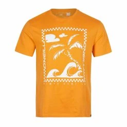 O'Neill Fin Short Sleeve T-Shirt
