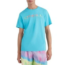 O'Neill Sanborn Short Sleeve T-Shirt