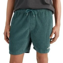 O'Neill Camorro Cord Shorts