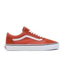 Vans Old Skool Shoes