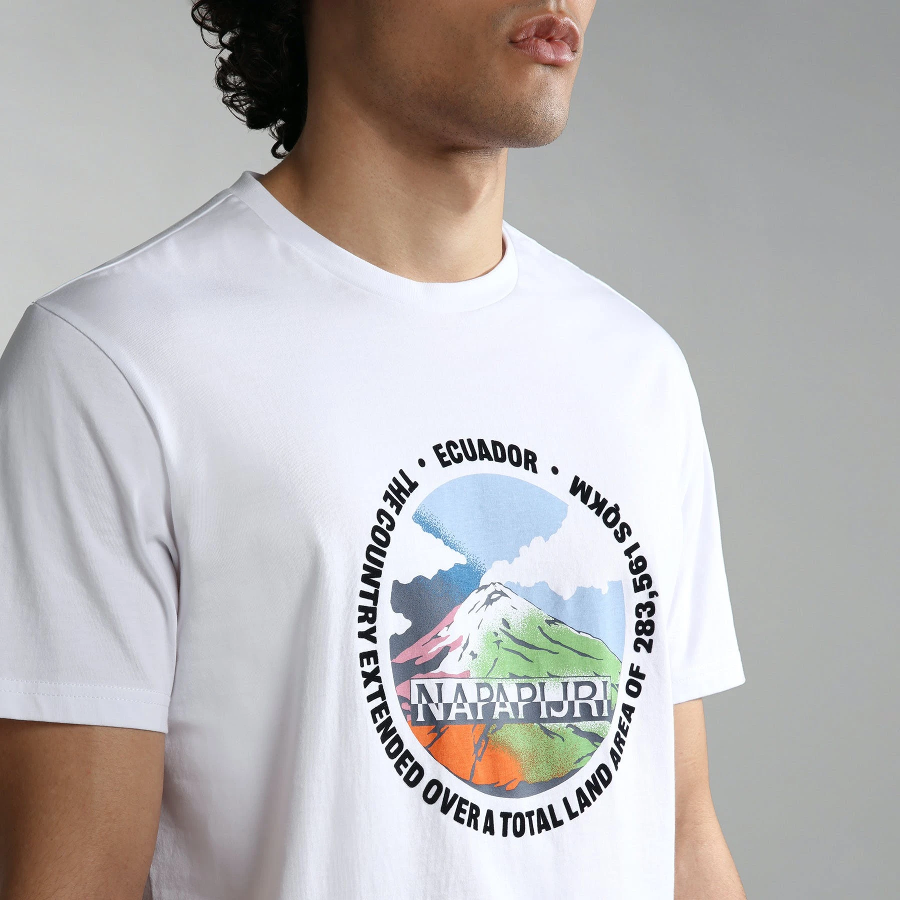 Napapijri S-sangay Short Sleeve T-Shirt 4 Napapijri S-sangay Short Sleeve T-Shirt - Image 4